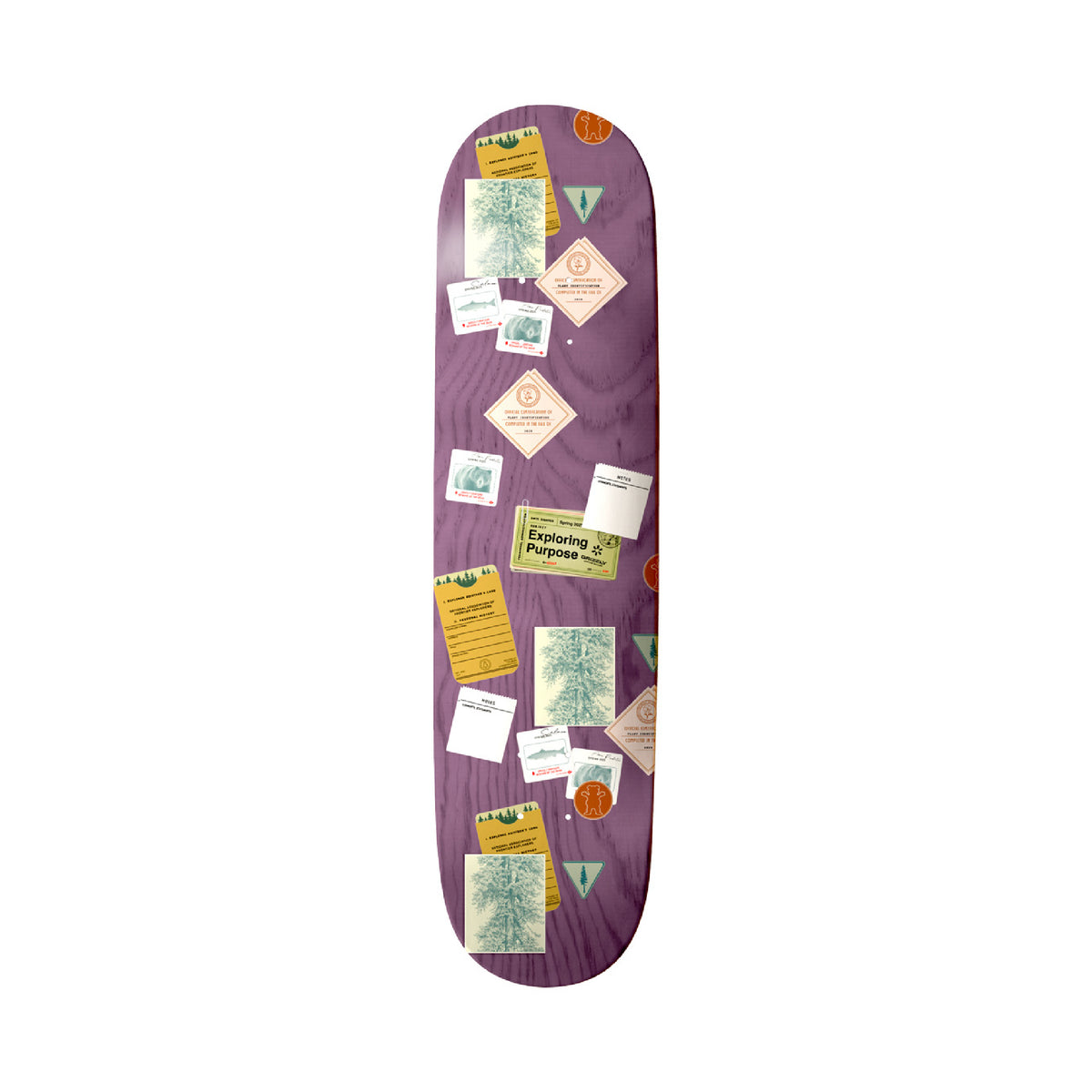 Tabla Skate Grizzly Bulletin Board